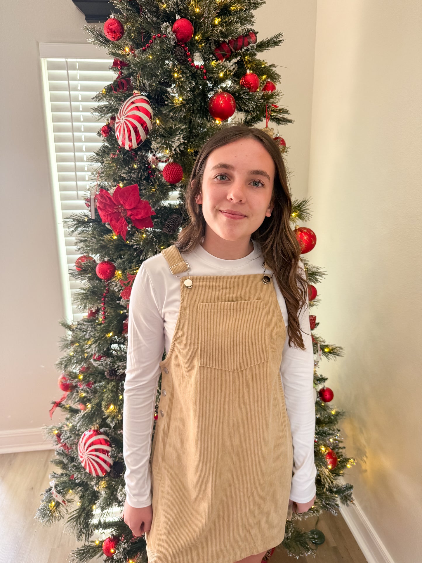 The Everyday Corduroy Overall Dress